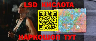 СК Кандалакша