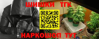 стафф Камышлов