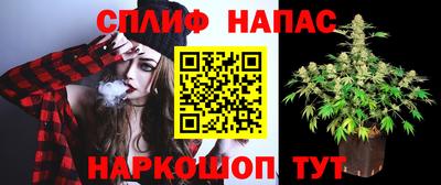стафф Камышлов