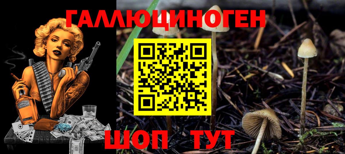 Галлюциногенные грибы Cubensis Тула