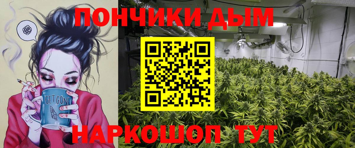 Бошки марихуана план Тула